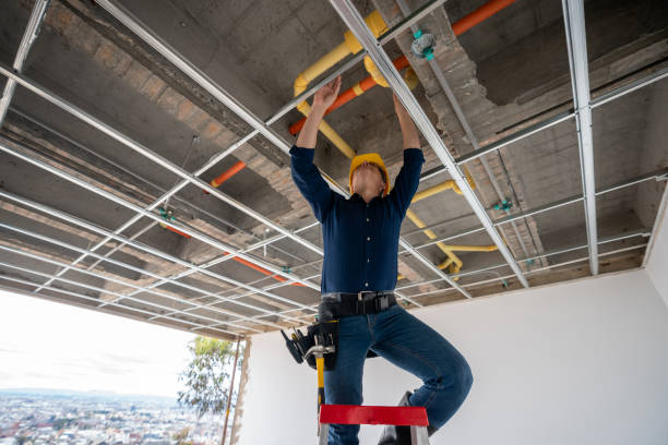 Best Affordable Plumbing Services  in Newport, MN