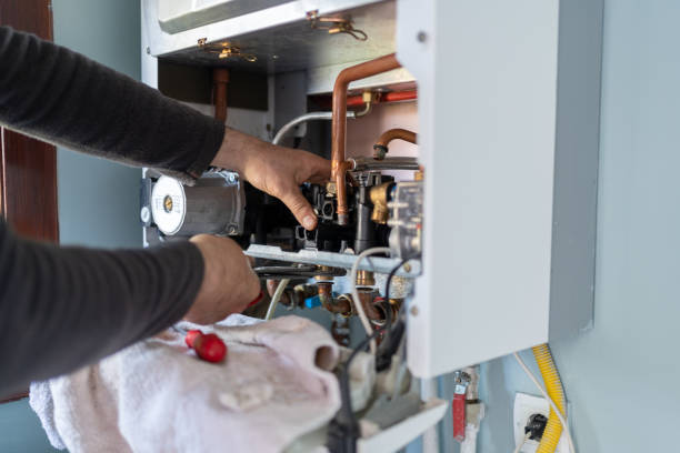 Best Local Plumber Services  in Newport, MN